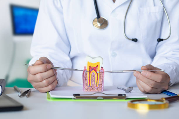 Best Broken or Cracked Tooth Emergency Dentist in Gibsonton, FL